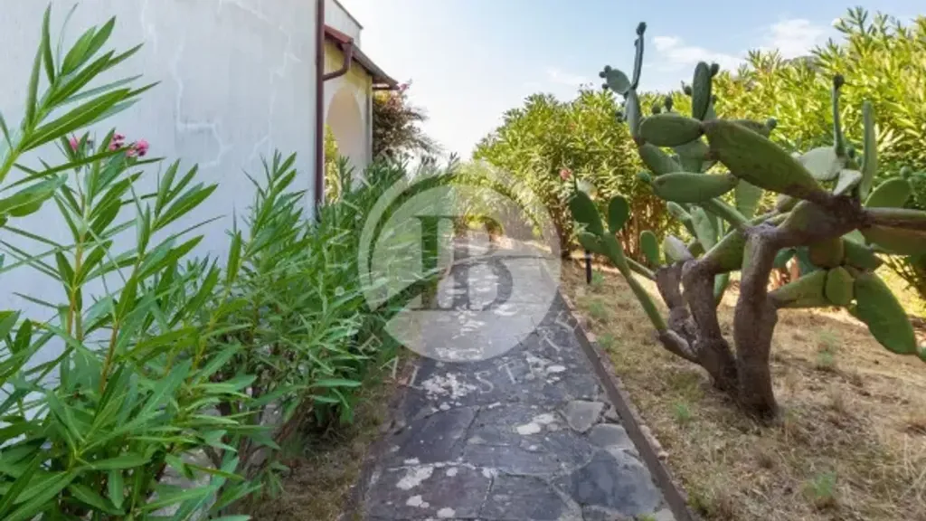 Jardin - Villa with Sea View in Monterosso, Cinque Terre