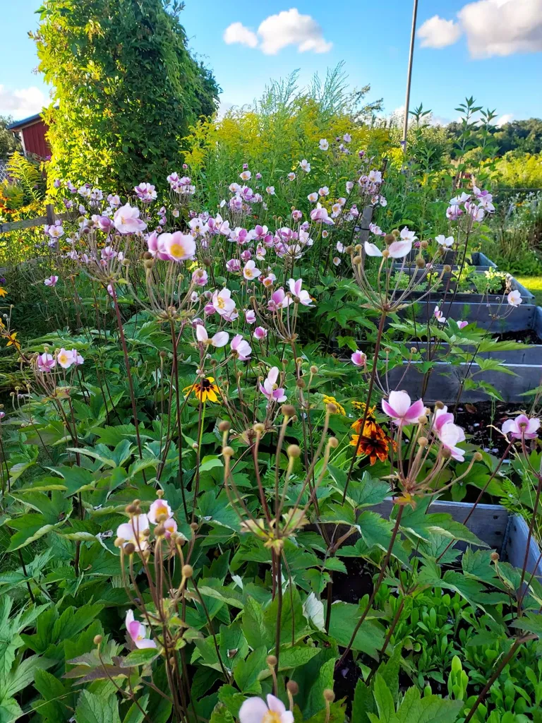 2-toaline maja asukohas Alingsås kommun