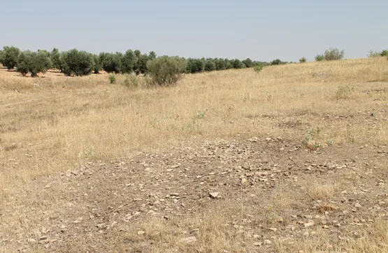 Aed - Land Parcel in Campo de Criptana, Ciudad Real