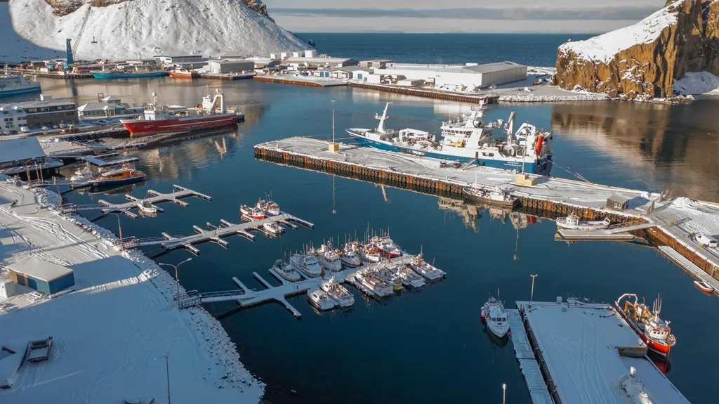 Office Space with Sea View in Reykjavik