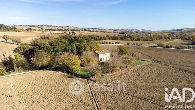 Vista aerea - Traditional Rustico with Olive Trees in Appignano