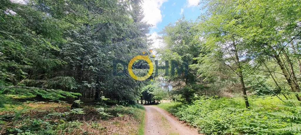 Giardino - 16th-Century Manor with Forest Setting in Haut-Forez