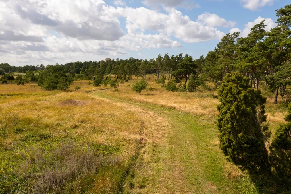 Aed - Plot with Sea View in Boge Friggars
