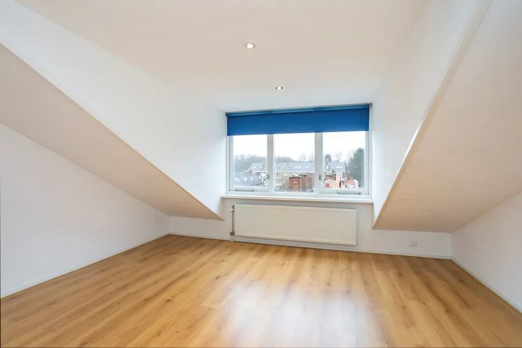 Toad - Portiekflat with Park Views in Den Haag