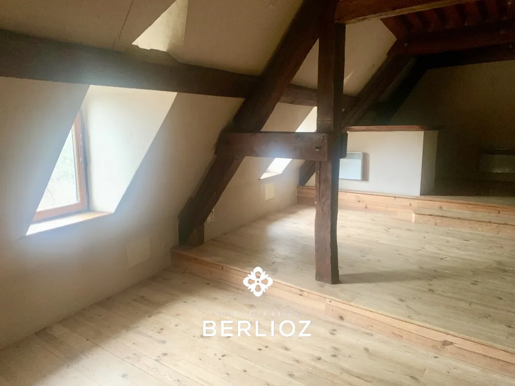 Toad - Duplex Apartment in Château d'Uriage
