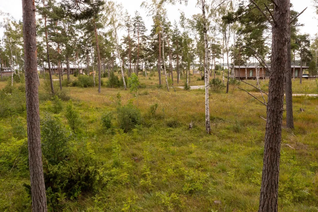 Aed - Plot with Sea View in Boge Friggars
