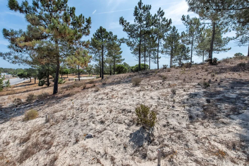 Garden - Plot with Potential for Villa in La Reserve, Carvalhal