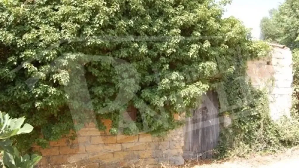 Välivaade - Rustic Property with Panoramic View in Marsala