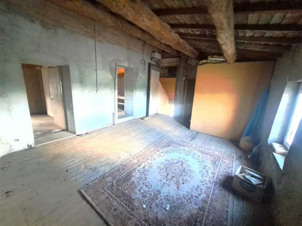 Toad - Renovated House with Large Plot in Rural Setting