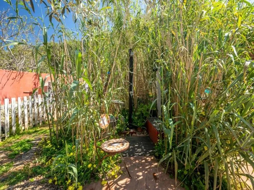 Jardin - Chalet with Pool in Bunyola, Mallorca