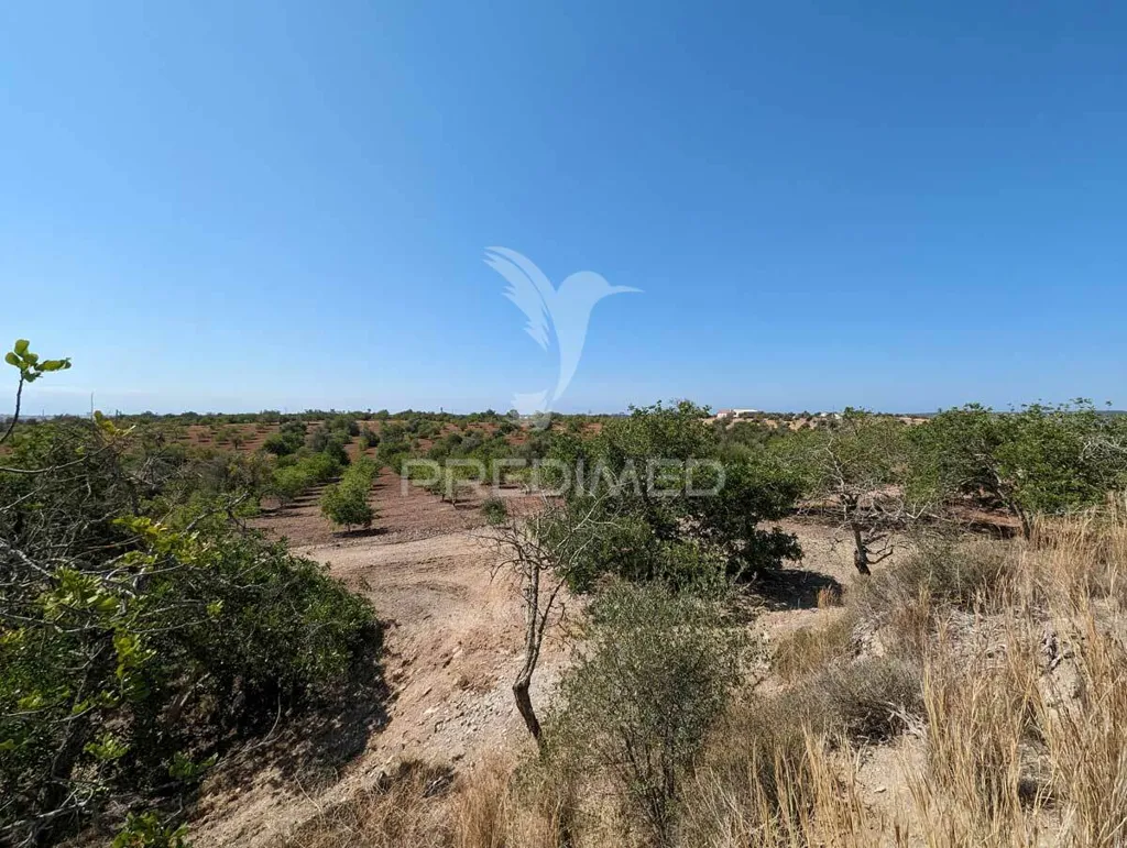 Jardin - Herdade with Ruin in Castro Marim