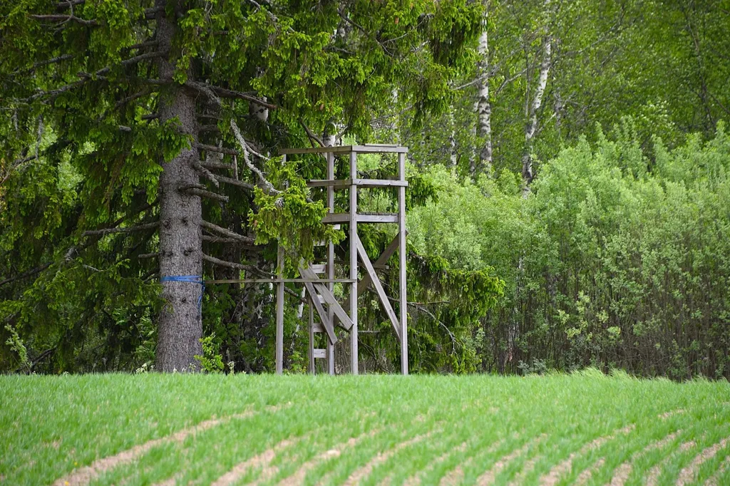 Jardin - Farm with Lake Access in Granviksnäset