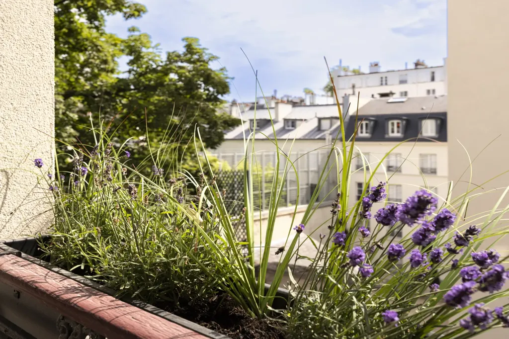 Rõdu - Renovated 3-Piece Paris 7e with East View