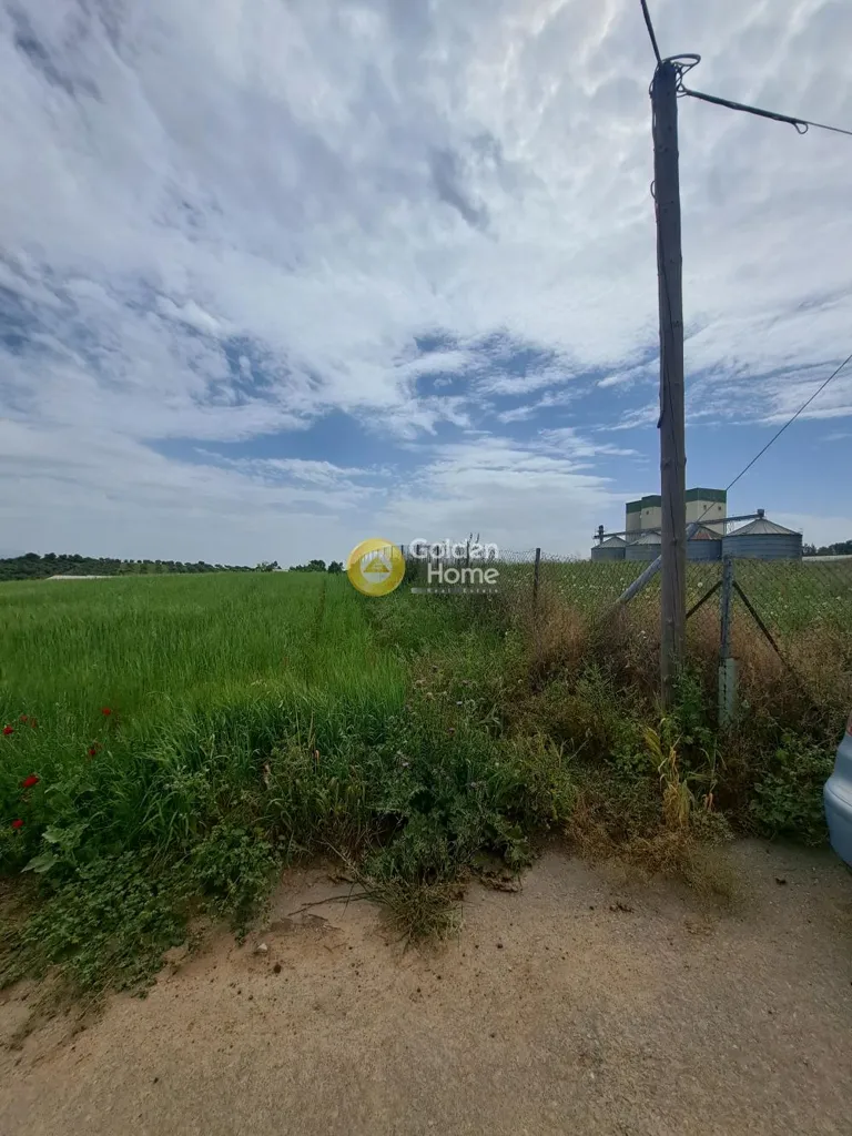 Aed - Agricultural Plot with Sea View in Schimatari Centre