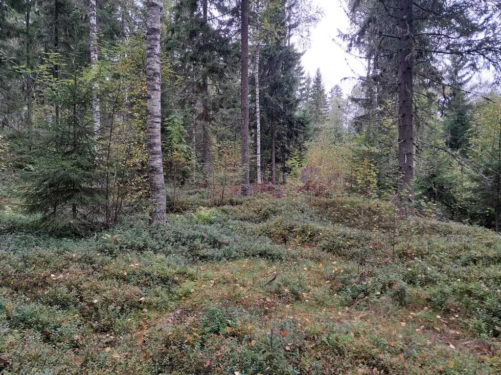 Garten - Plot with Waterfront Setting in Parkano