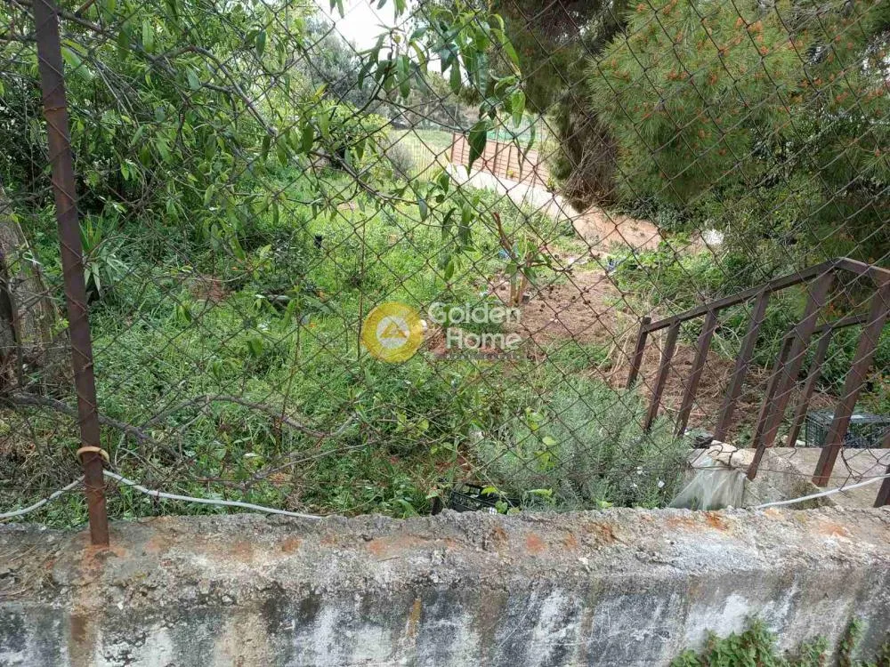 Aed - Plot with Forest View in Melissia