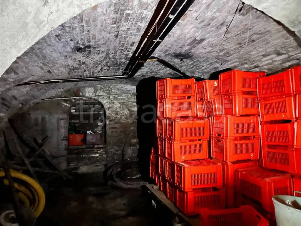 cellar
