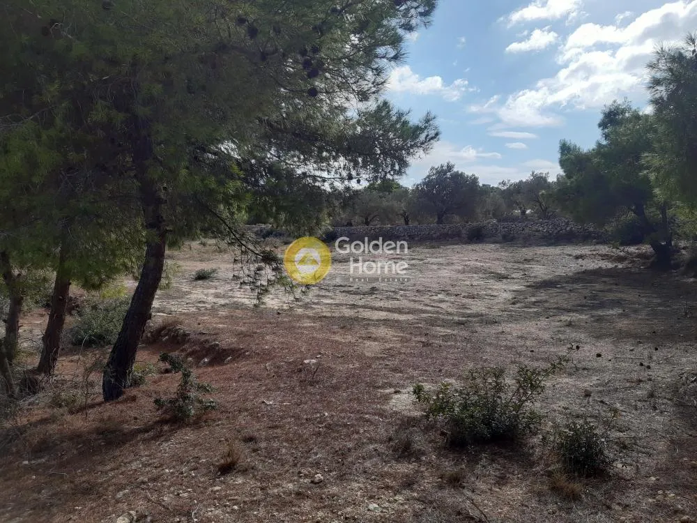 Jardin - Plot with Unrestricted View in Egina - Mesagros