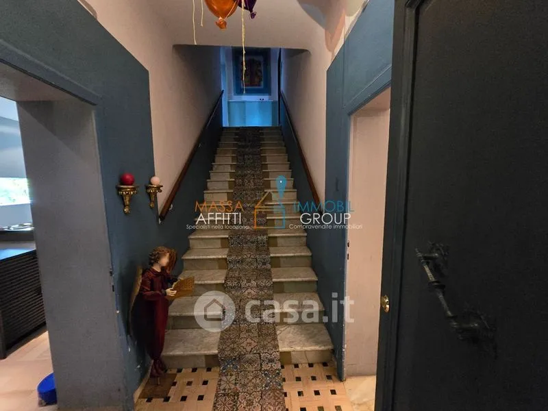 Toad - Terraced House with Garden in Massa Centre
