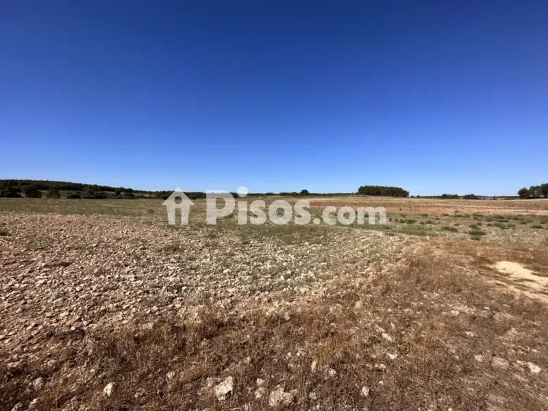 Jardin - Historic Finca with Vineyards in Requena