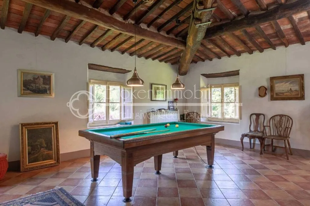 Toad - Historic Villa with Pool near Lucca