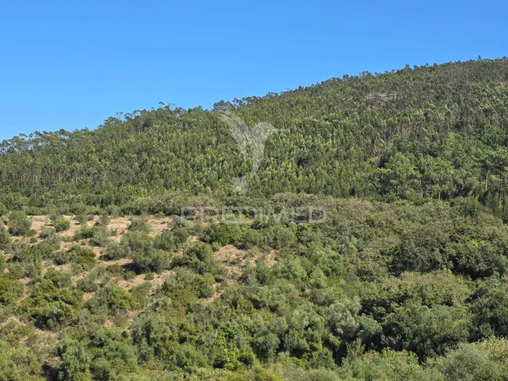 Rustic Land with Approved Project in Mafra