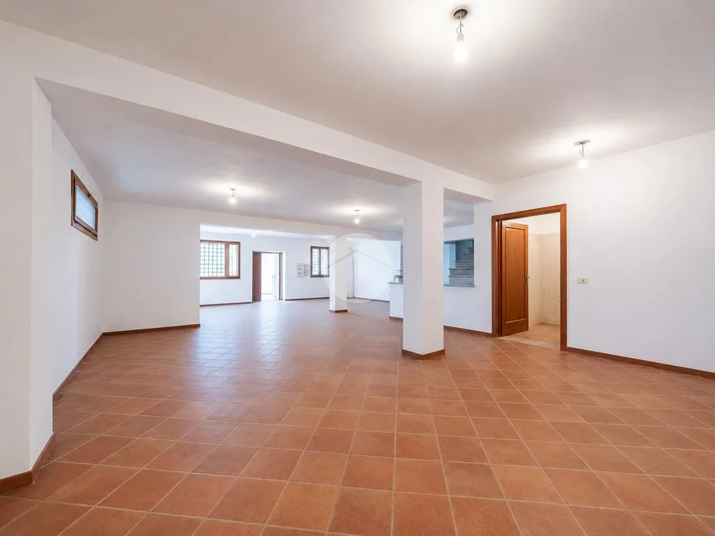 Séjour - Versatile Villa with Olive Grove in Guidonia Montecelio