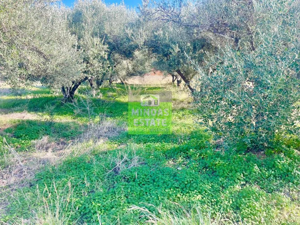 Aed - Corner Plot with Sea View in Tavronitis