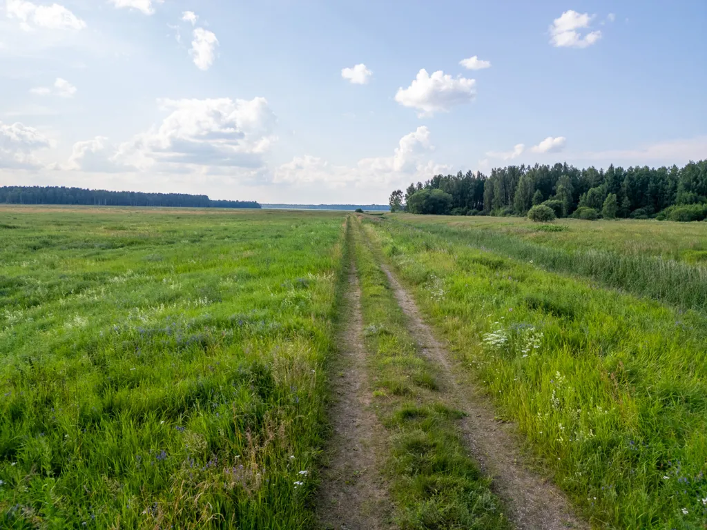 Jardin - Agricultural Land in Valmiera District