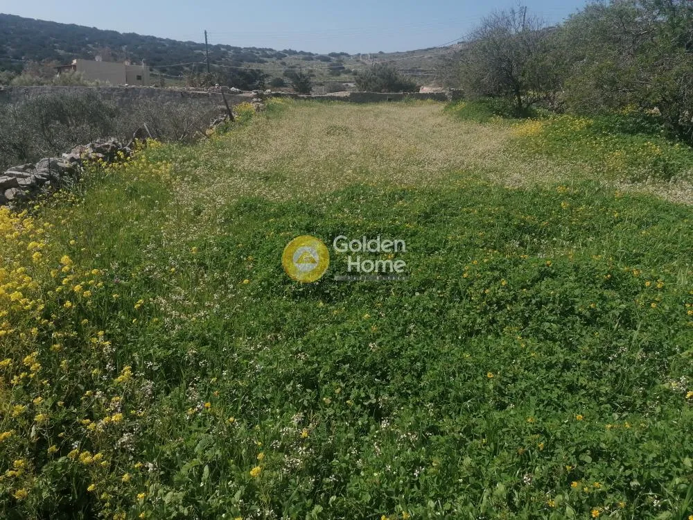 Aed - Plot with Unrestricted View in Syros - Piskopi