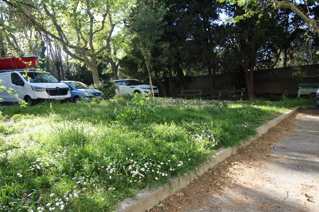 garden