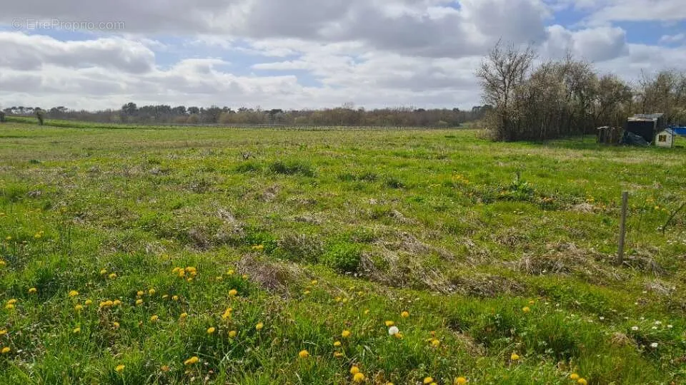Giardino - Land with Panoramic View in Baigneaux