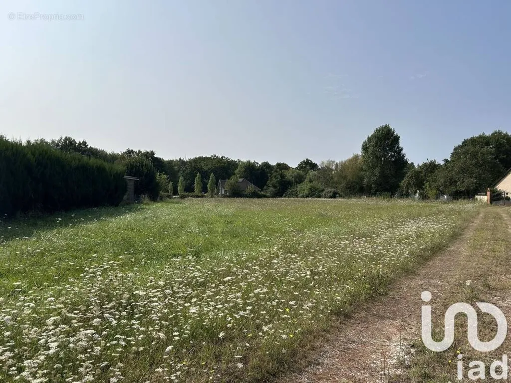 Aed - Building Plot in La Marolle-en-Sologne
