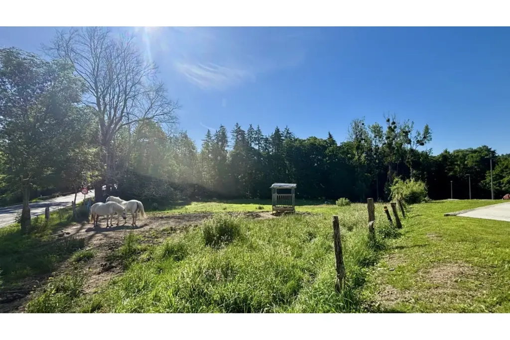 Giardino - New House with Solar Panels in Ciergnon