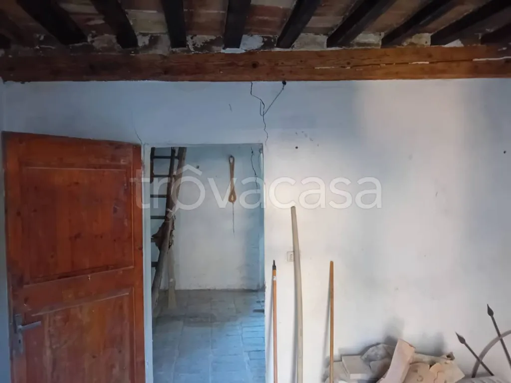 Toad - Rustic Property with Panoramic Views in Monte Cerignone