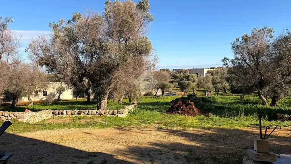 Jardin - Villa with Sea View in Carovigno