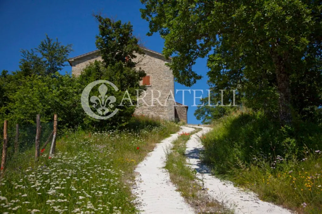 Välivaade - Luxury Farmhouse with Pool in Città di Castello
