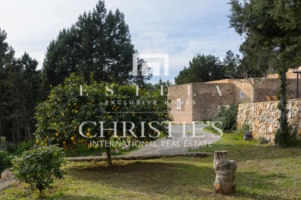 Aed - Restored Finca with Pool in San Antonio