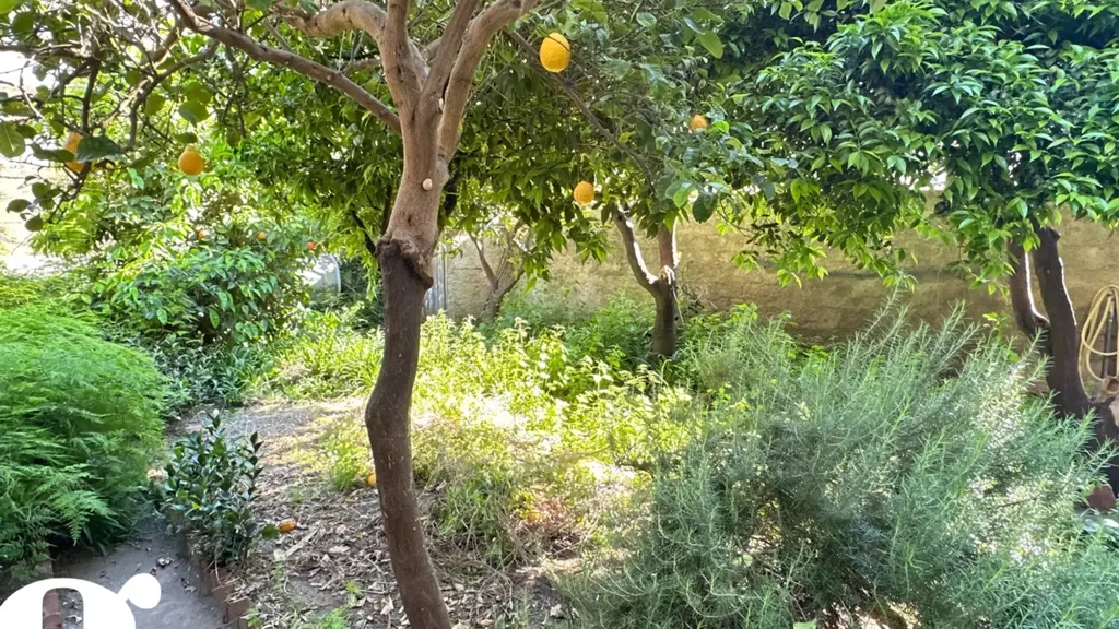 Garden - Seafront Apartment with Garden in Sant'Agata di Militello