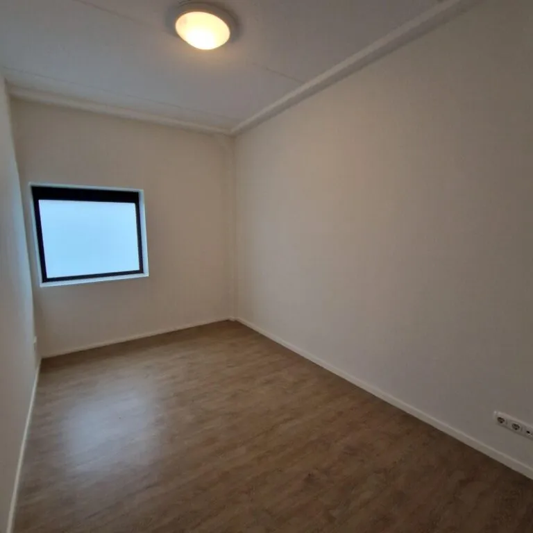 Toad - 1-Bedroom Apartment in Central Location