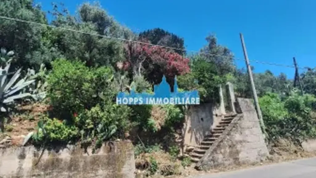 Giardino - Rustic Villa for Renovation in Monreale