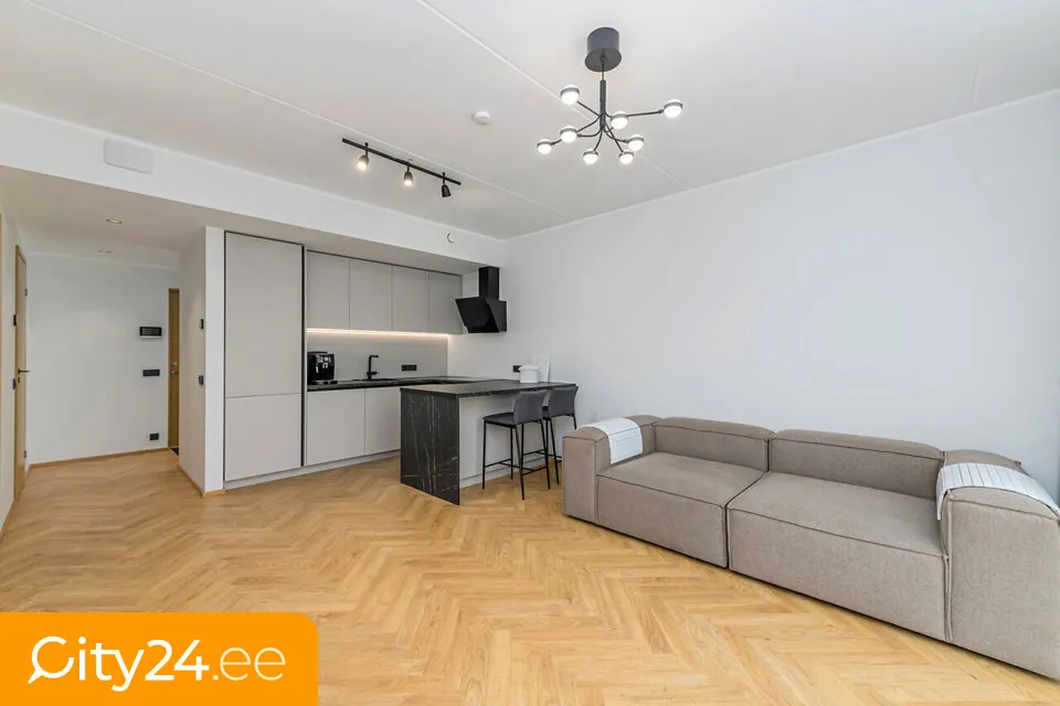 Séjour - Minimalist 2-Room Flat with Balcony in Tiskreoja