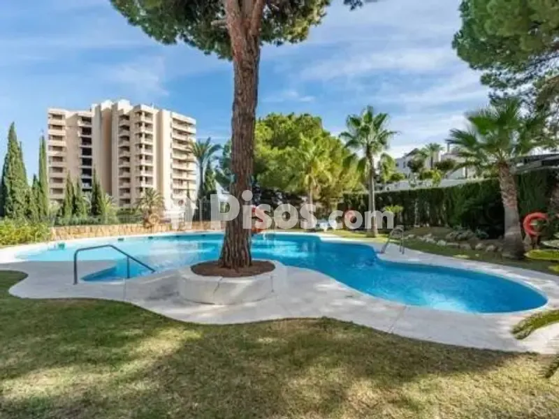 Piscina - Loft with Private Terrace in Marbella, Río Real
