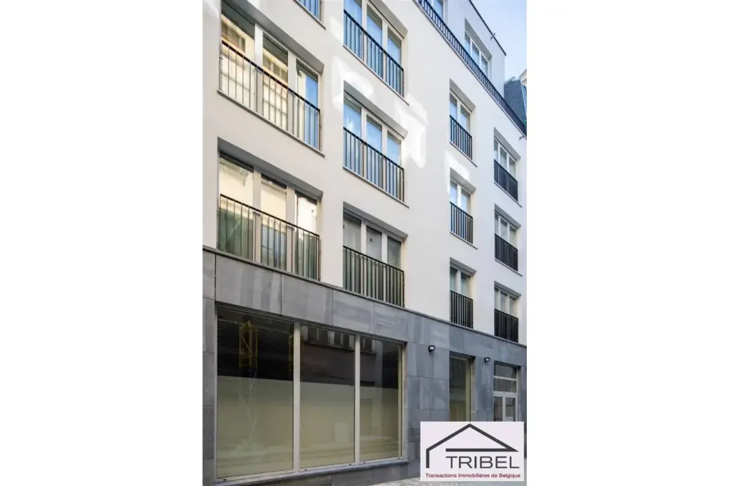 Esterno - Furnished Flat with Terrace in Brussels