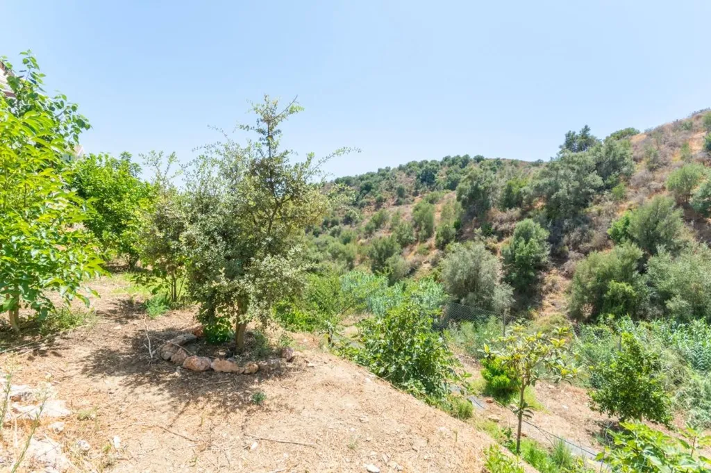 Jardin - Detached Villa with Orchard in Mijas Costa