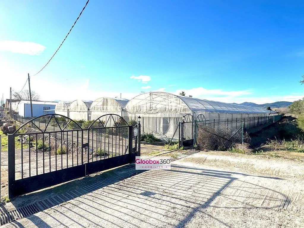 Jardin - Rural Farmhouse with Pool in Baix Camp