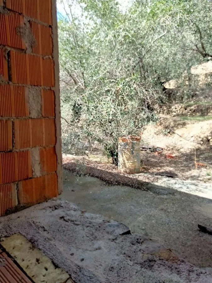 Toad - Rustic Villa with Olive Grove in Diano San Pietro