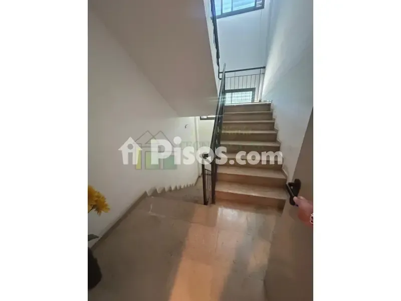 Toad - Apartment with Pool in San Antonio, Sevilla