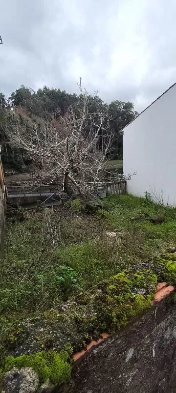 Jardin - Renovated Apartment with Terrace in Miño