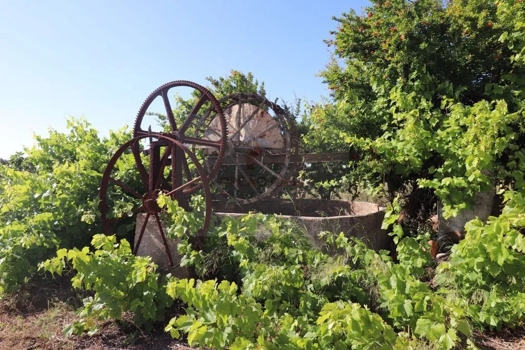 Aed - Luxury House with Agricultural Potential in Faro
